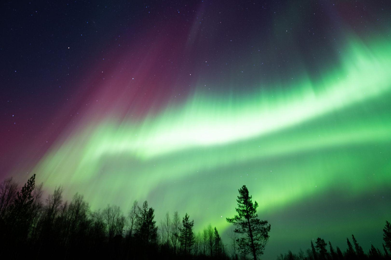 Wilderness Adventure by Snowmobile Sleigh