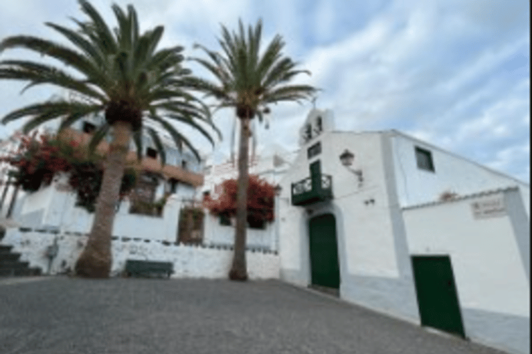 Santa Cruz de La Palma: Upper Town Historical Tour