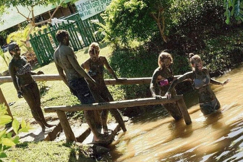 Nadi: Private Tour with Temple, Garden, Markets &amp; Mud Pools