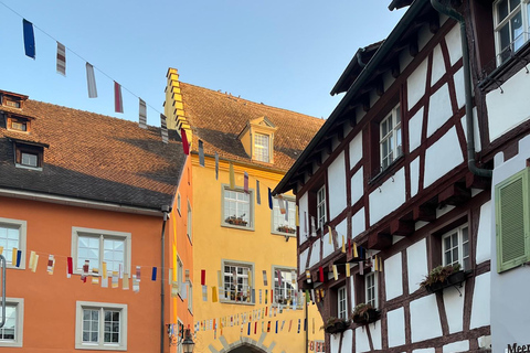 From Basel: 4 Countries and Lake Bodensee Private Tour