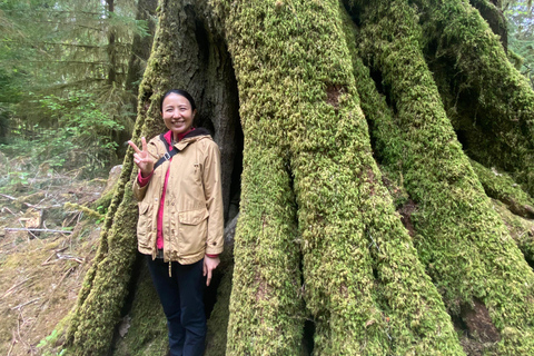 Seattle: Rainforest and Olympic National Park Highlights Olympic National Park: Rainforest, Beach, and highlights