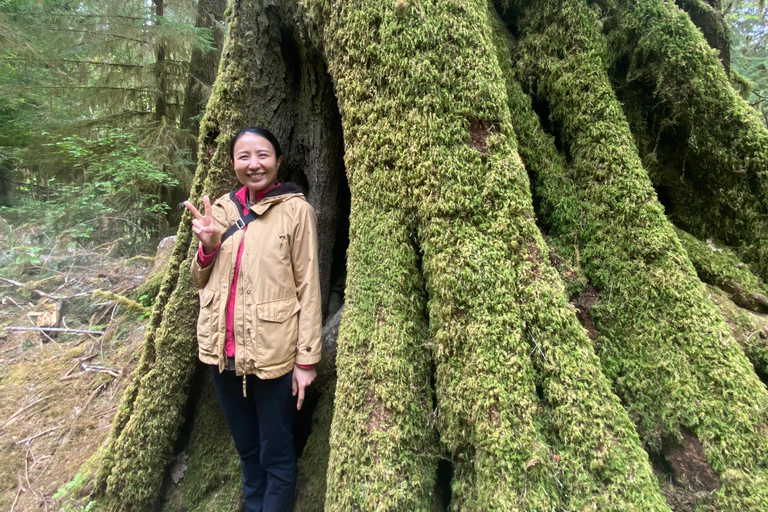 Seattle: Rainforest and Olympic National Park Highlights Olympic National Park: Rainforest, Beach, and highlights