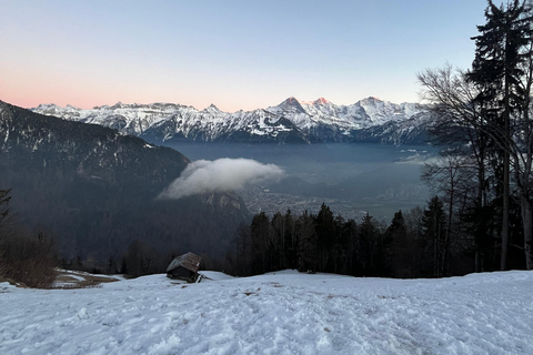 Interlaken: Night Sledding & Fondue Dinner with Guide