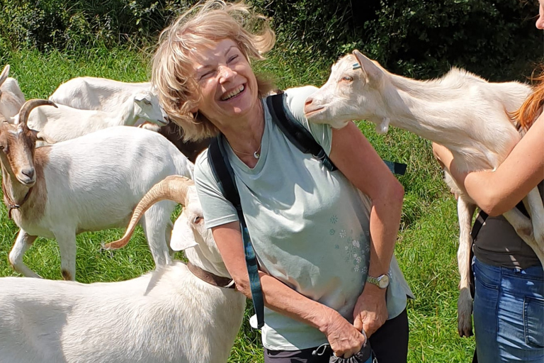 Goat hike near Dresden Goat hike near Dresden for 6-10 people (90 MINUTES)