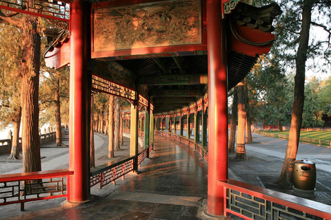 Tour privado a la Casa del Panda con la Gran Muralla o los Sitios de la CiudadOpción 1: Jardín del Panda con la Gran Muralla de Mutianyu