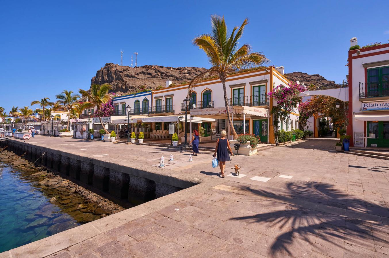 Gran Canaria Südküste: Sightseeing-Tour zum Flohmarkt von Arguineguín & zum Kreuzfahrthafen von Mogán