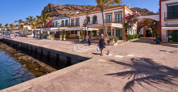 Gran Canaria South Coast: Sightseeing Tour to the Arguineguín Market & Puerto de Mogán