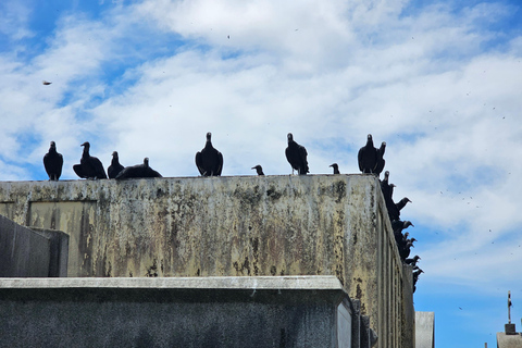 Discover Guatemala city - Motorcycle Tour with Local Snacks