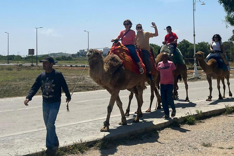 Tangier Privat tur Upphämtning från kryssningsfartyg Allt inklusive