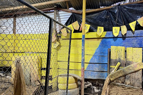 Salento: Cocora Valley, Catch Trout for Lunch & Play Tejo
