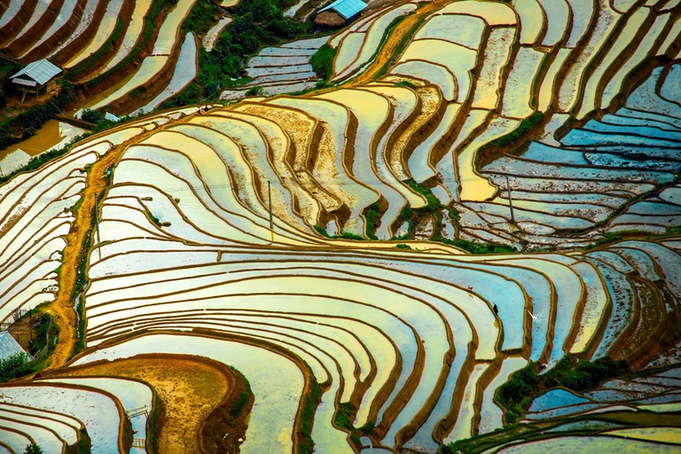 From Hanoi: Visit Sapa 3 Days & See The Terraced Fields Group Tour With A 4-Star Hotel