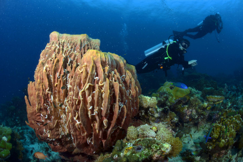 Pattaya: Fun Dive 2 Ocean Dives and Lunch (Certified Diver)