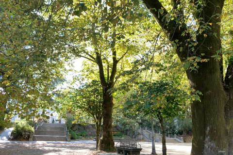 Santiago de Compostela: guided urban tours Santiago de Compostela: guided city tours