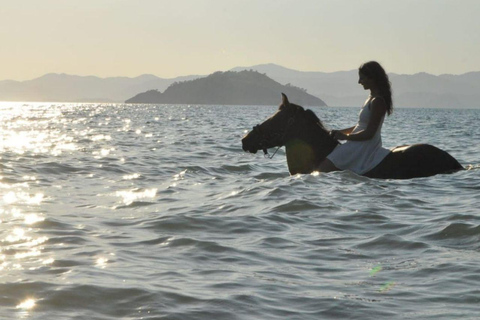 Fethiye: Paseos a caballo por el mar, bosque botánico, costa y playa.Fethiye Equitación en el Mar, Bosque Botánico, Equitación en la Costa y la Playa