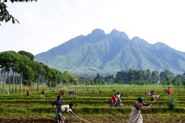 Rwanda 1 Day Mount Sabyinyo Hiking Adventure