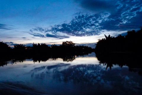 Semporna: Mangrove Cruise, Fireflies, Dinner & Transfer