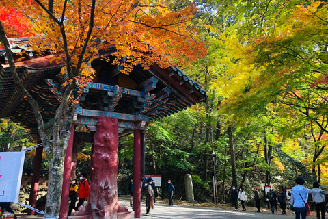 Seoul: Herbstlaub - Berg Naejang + Jeonju Hanok DorfMt. Naejang+Jeonju Gruppentour ab Myeongdong Station