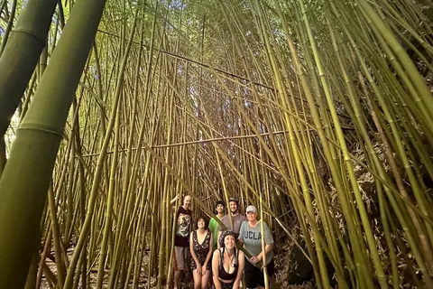 Lahaina-Kapalua: VIP Private Full-Day Road to Hana Tour