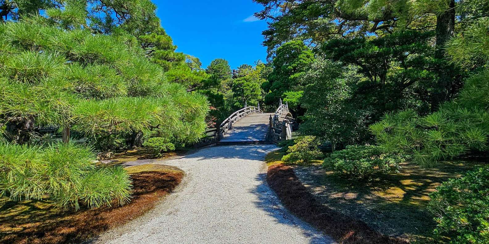 Kyoto experience — temples, geisha, bamboo grove — image 17