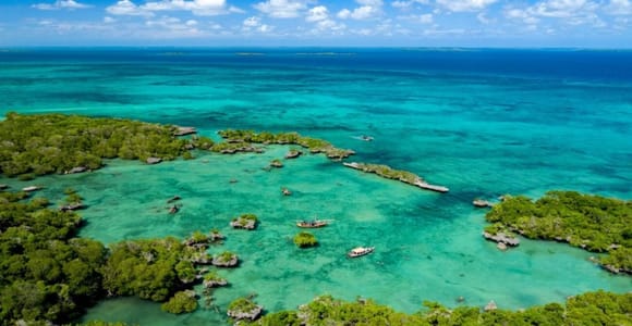 Zanzibar: Full-Day Safari Blue & Blue Lagoon with Snorkeling