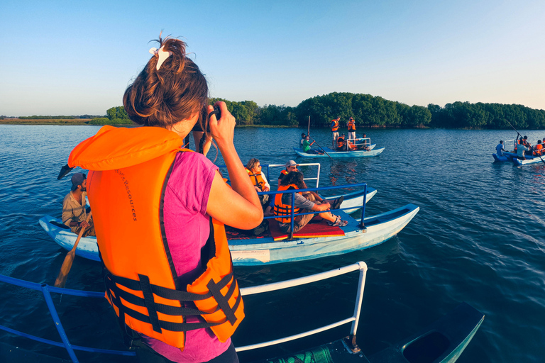 Pottuvil Lagoon Eco Tour : Mangrove Adventure in Arugam Bay