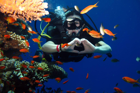 Hurghada: Intro Diving & Snorkeling Tour with Lunch & Drinks Hurghada: Introduction dive & Snorkeling Cruise with Lunch