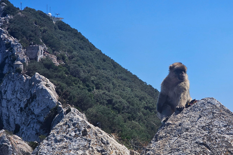 Gibraltar: Classic Rock Tour with Nature Reserve Entry