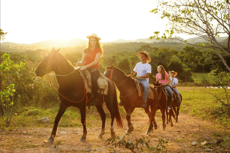 Punta Cana : Chevaux Haitises, Cano hondo &amp; Montana redonda