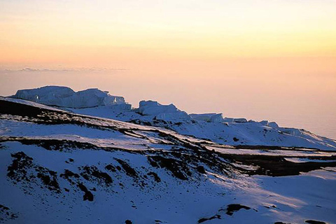 Kilimanjaro in a Day: Unforgettable Marangu Route Adventure