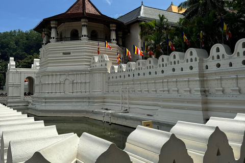 Kandy: Private Guided Tour mit lokalen Highlights per Tuk Tuk