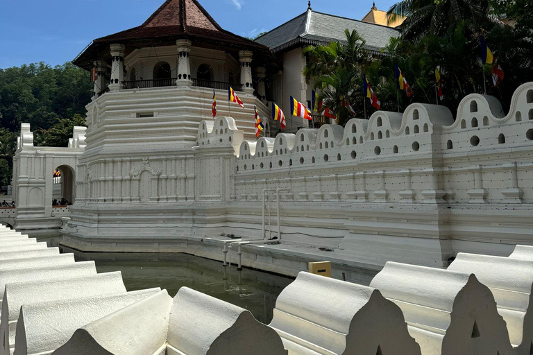 Kandy: Private Guided Tour mit lokalen Highlights per Tuk Tuk