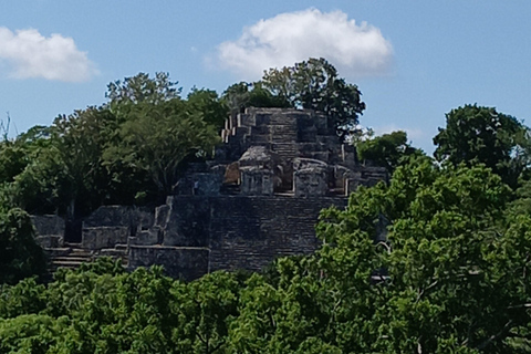 Bacalar: Calakmul ruins, jungle path & stop at the bat cave. Bacalar: Calakmul ruins tour jungle and the bat volcano..