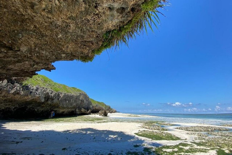 Zanzibar: Jozani forest, Sea tortoises & Mtende beach tour Private tour no Hotel pick and drop off included