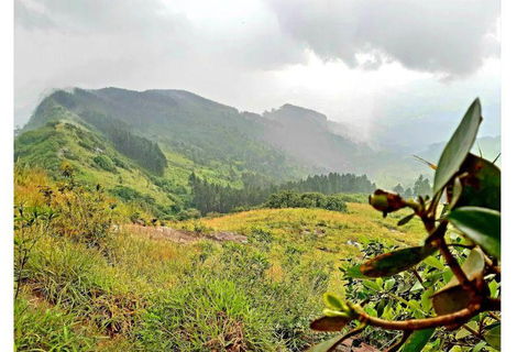 From Kandy: 2-Day Highlights Tour with Scenic Train to Ella