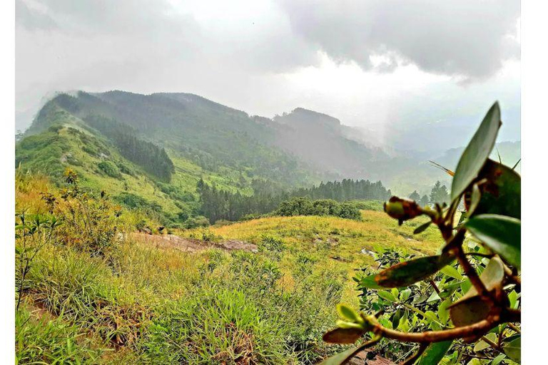 From Kandy: 2-Day Highlights Tour with Scenic Train to Ella