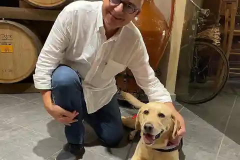 Salento: Visita alle cantine e degustazione di vini con spuntini locali