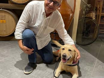 Salento: Visita a Bodegas y Cata de Vinos con Aperitivos Locales