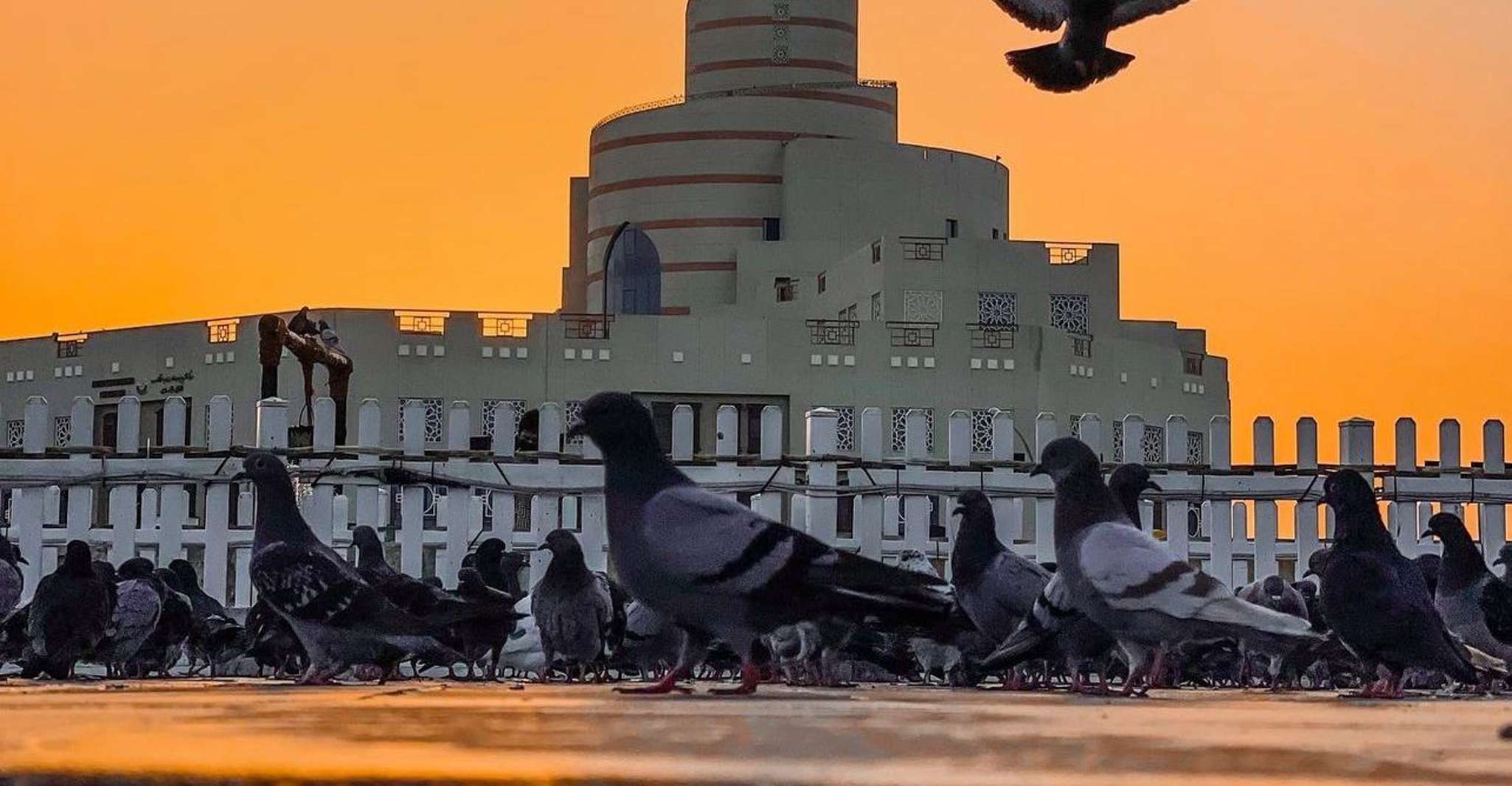 Doha: Private City Tour, Airport or Hotel Pick-up/Drop-off photo 14