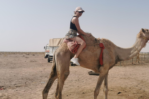 Salalah: Tour del tramonto nel deserto del Quartiere Vuoto