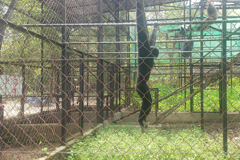 Chi so mountain _ Ta moa zoo_ Bati temple Tour