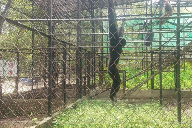 Chi so mountain _ Ta moa zoo_ Bati temple Tour