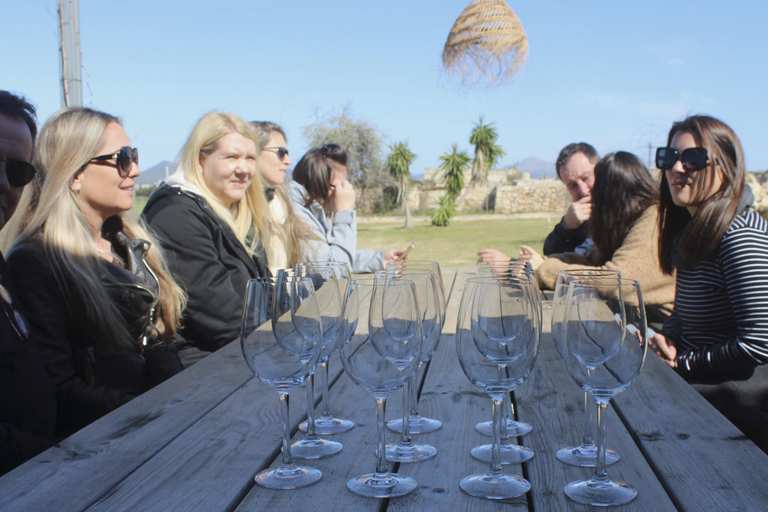 Alcúdia/Can Picafort: Guided Vineyard Visit and Wine Tasting Pickup at a Meeting Point Near Playa de Muro