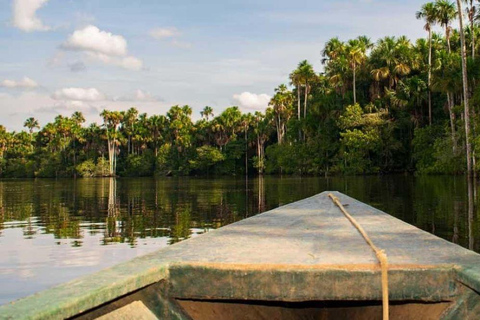 From Puerto Maldonado || Jungle trekking + Sandoval Lake ||