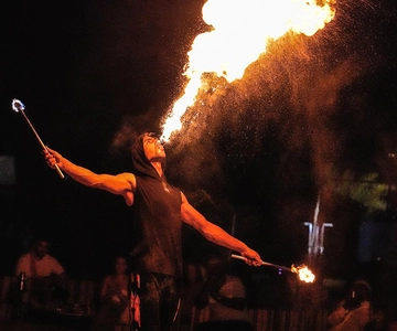 Dubai: Desert Safari, Camel Ride, Show & Optional Dinner