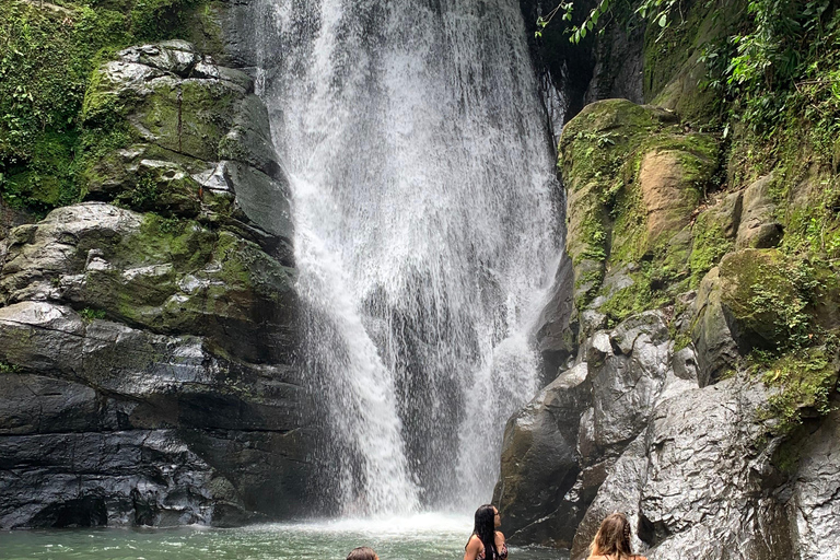 Cahuita National Park+Bribri Chocolate Tour+Waterfalls Tour+Lunch