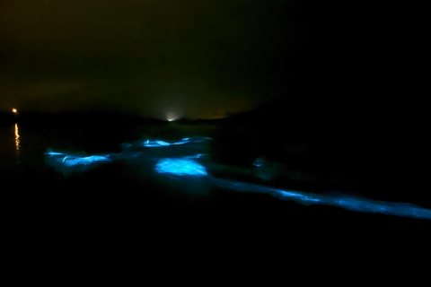 Transparent Canoe in Bioluminescent Bay in Vieques Transparent Canoe in the Bioluminescent Bay in Vieques