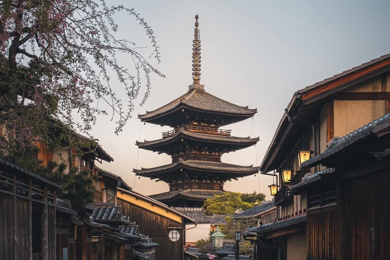 Kyoto: Private Customizable Day Tour with Guide and Vehicle