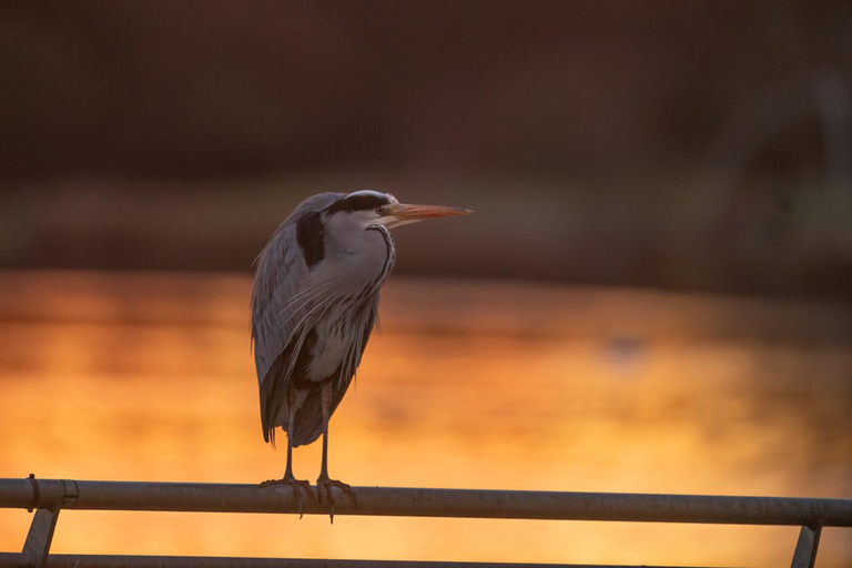 Atelier de photographie animalière pour débutantsAtelier de groupe pour débutants en photographie de la faune et de la flore