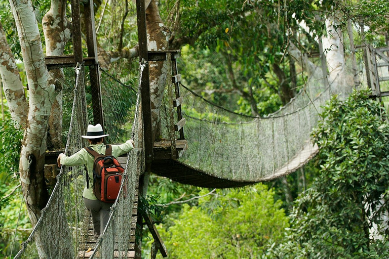 4-dagars äventyr i Amazonas regnskog