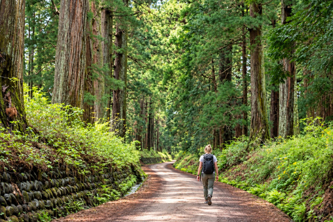 Nikko: Cedar & Falls Private Tour with Pickup & Drop-off EN/CN Guide – Tokyo Pickup & Drop-off